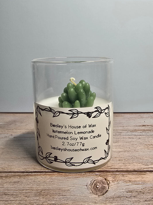 Mini Watermelon Lemonade