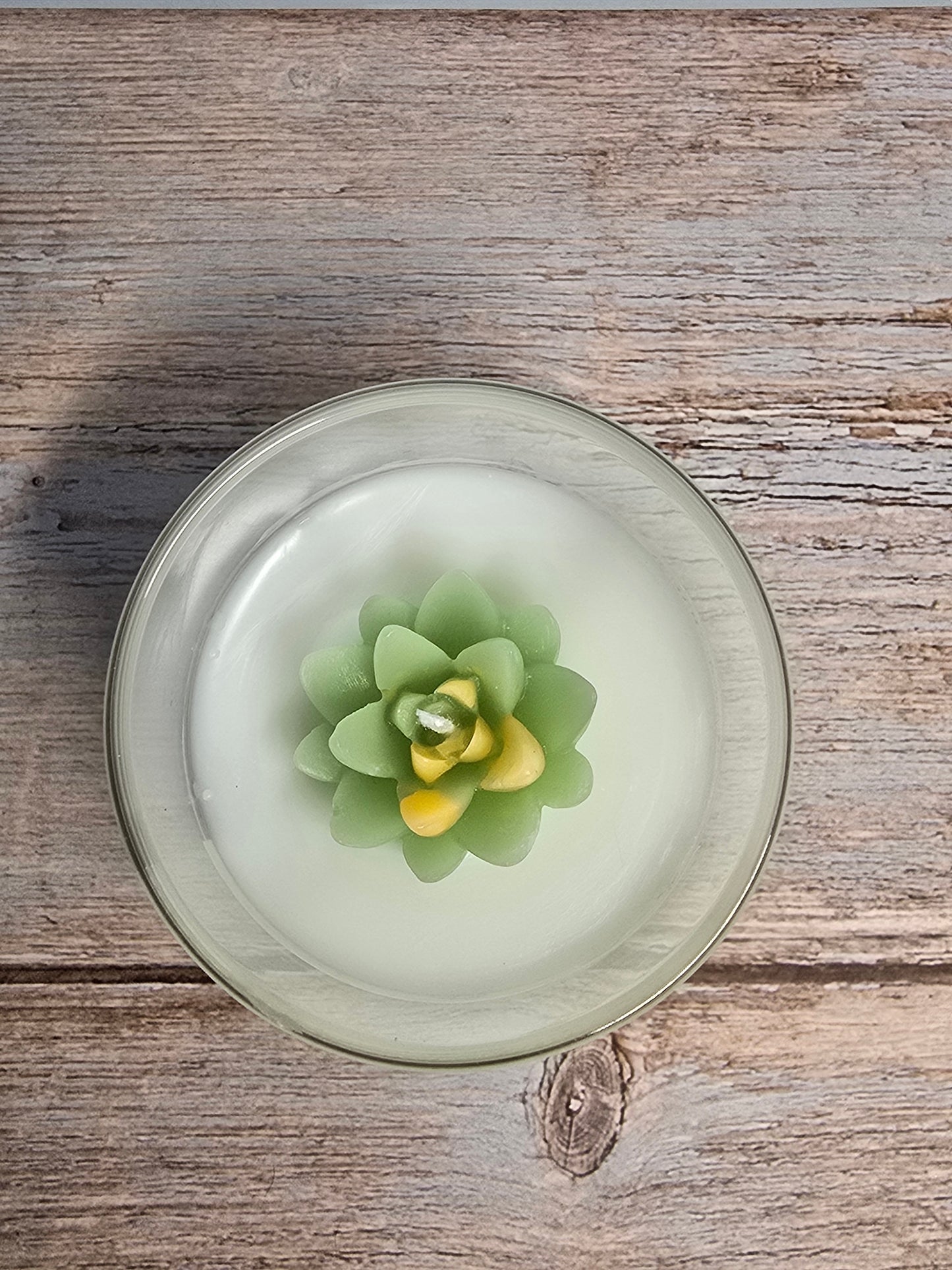 Mini Cucumber Melon