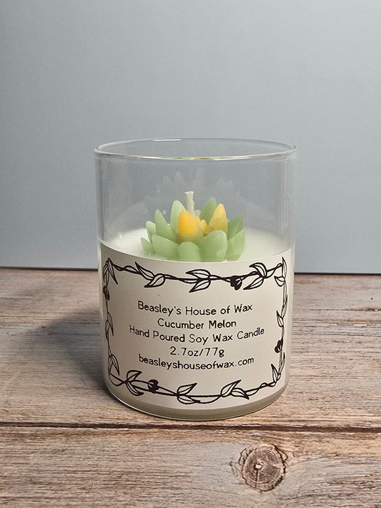 Mini Cucumber Melon