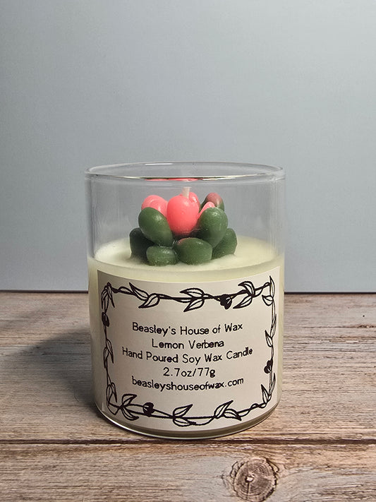 Mini Lemon Verbena
